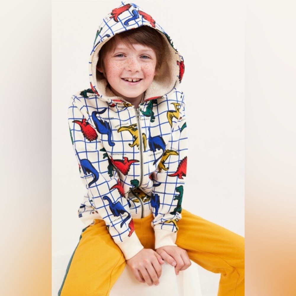 Hanna Andersson Multicolor Dinosaur Hoodie